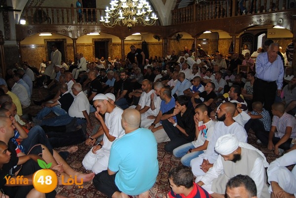 mahmoduia 3eed 808 (15).JPG